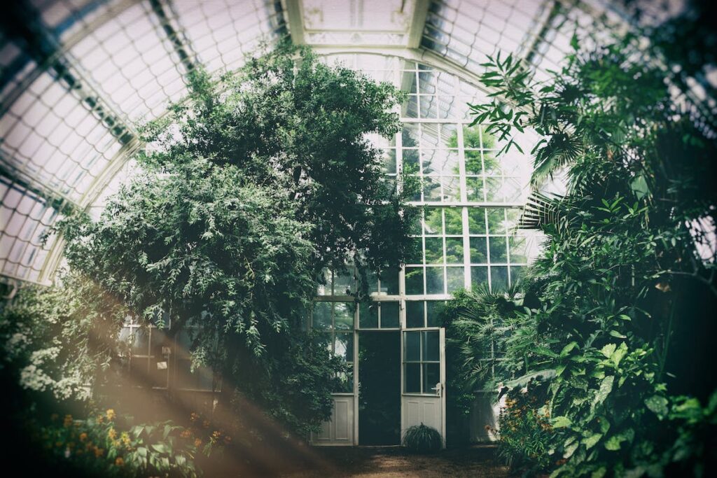 Greenhouse photo by Philipp Deus